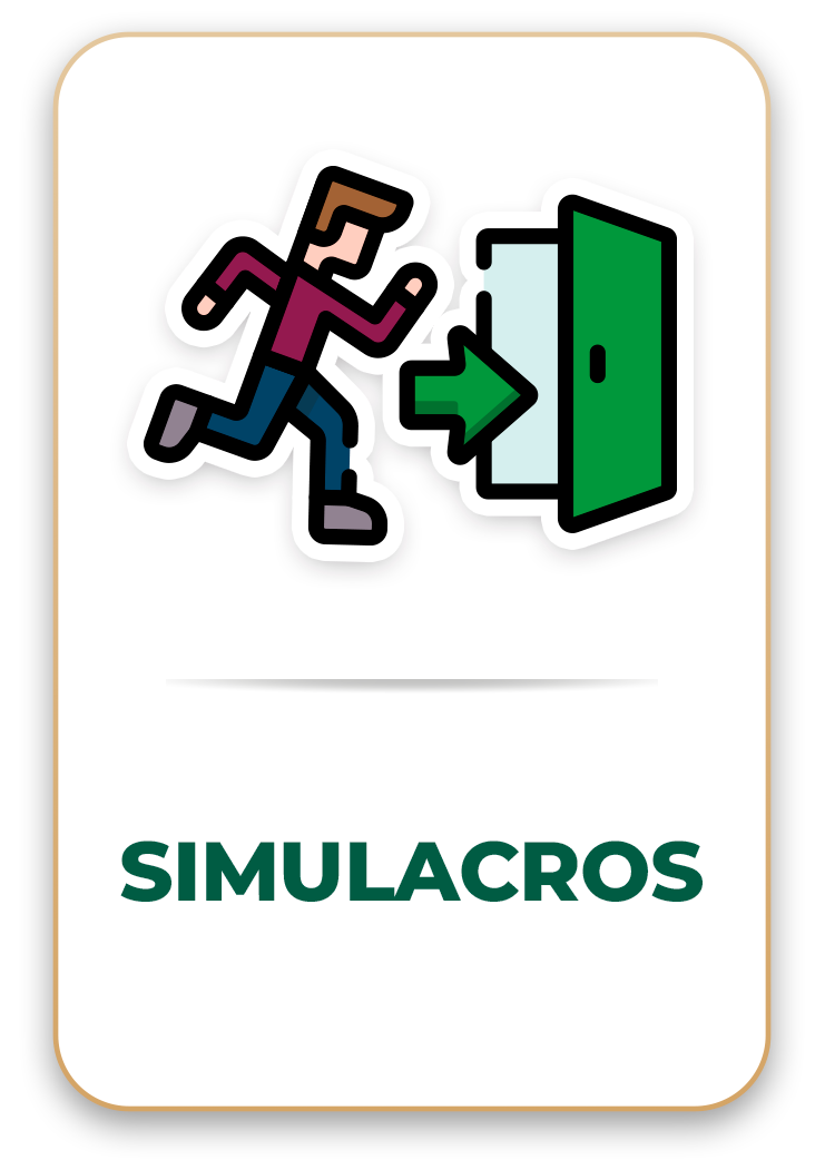 Simulacros
